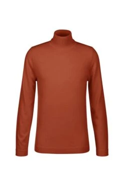 DRYKORN Rollkragenpullover In Merinowolle Orange -Drykorn Geschäft 10 48 420002 48363 JOEY 4000 07 627c3fe6f5b5a65e5506078db0fe246c99cab88b 720x1080