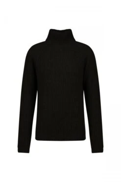 DRYKORN Rollkragenpullover In Alpaka-Woll-Mix Schwarz -Drykorn Geschäft 10 48 422001 48730 ARVID 1000 07 6b35f9059a73dadf9bc971a616e47c6f6c9d0f86 720x1080